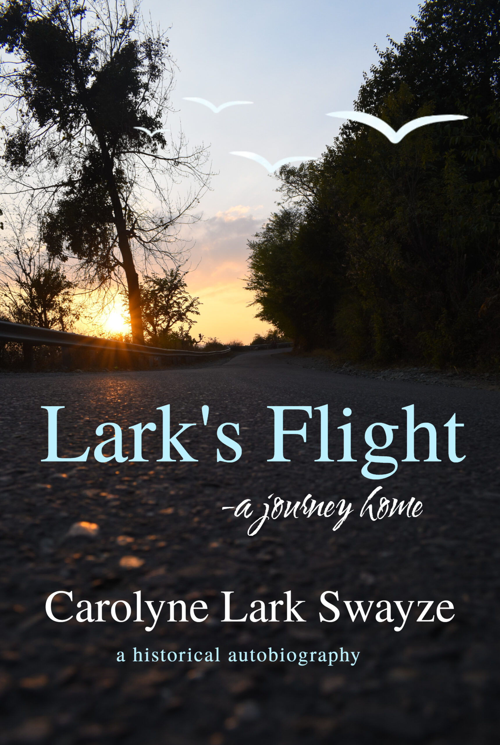 WHO ARE MENNONITES? - Carolyne Lark Swayze